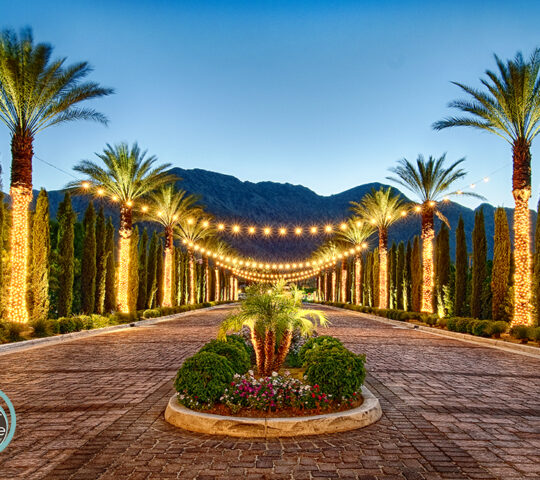 Host – Palm Springs